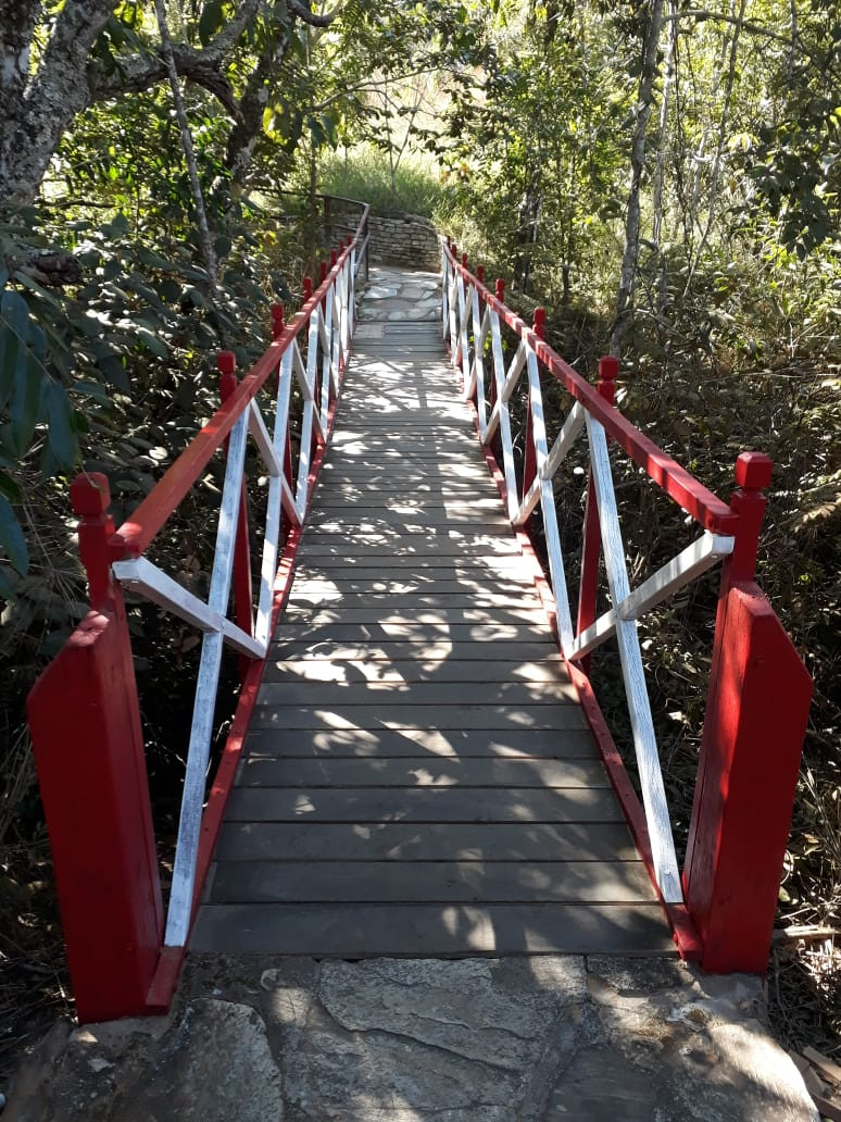 Ponte de madeira na Reserva do Abade