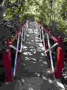 Ponte de madeira na Reserva do Abade