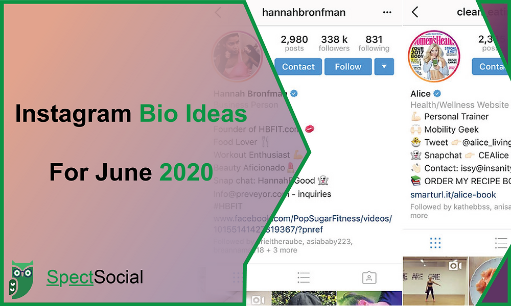 Instagram Bio Ideas That Will Skyrocket Your Instagram Success In 2020