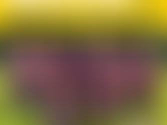 Petelo Rugby All Stars are coming to the Sevens in the Sun 2022.👊🏉