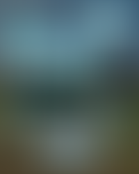 The Belbarians 7s are coming to the Junior 7s - Youth Rugby Sevens Tournament ! 🏉