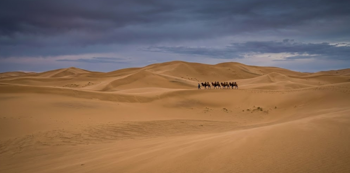 Gobi Desert