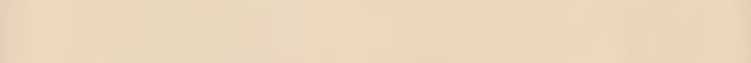 Cream Background