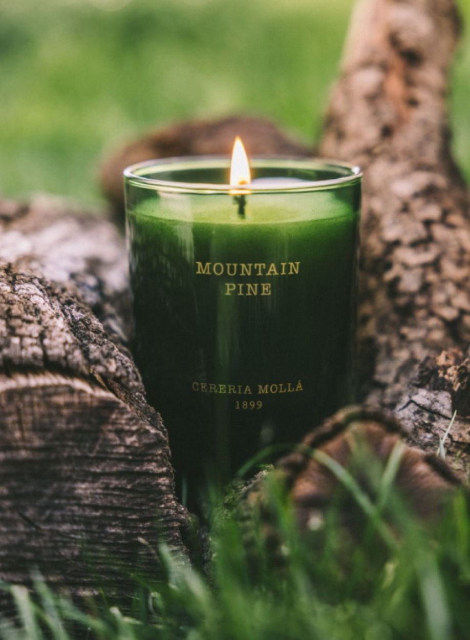 Miniatura: vela mountain pine, cereria Mollá