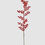 Miniatura: aste de bagas encarnadas 100cm