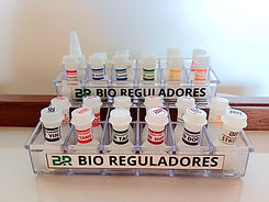 WhatsApp Image 2025-12-05 at 11.43.46.jpeg