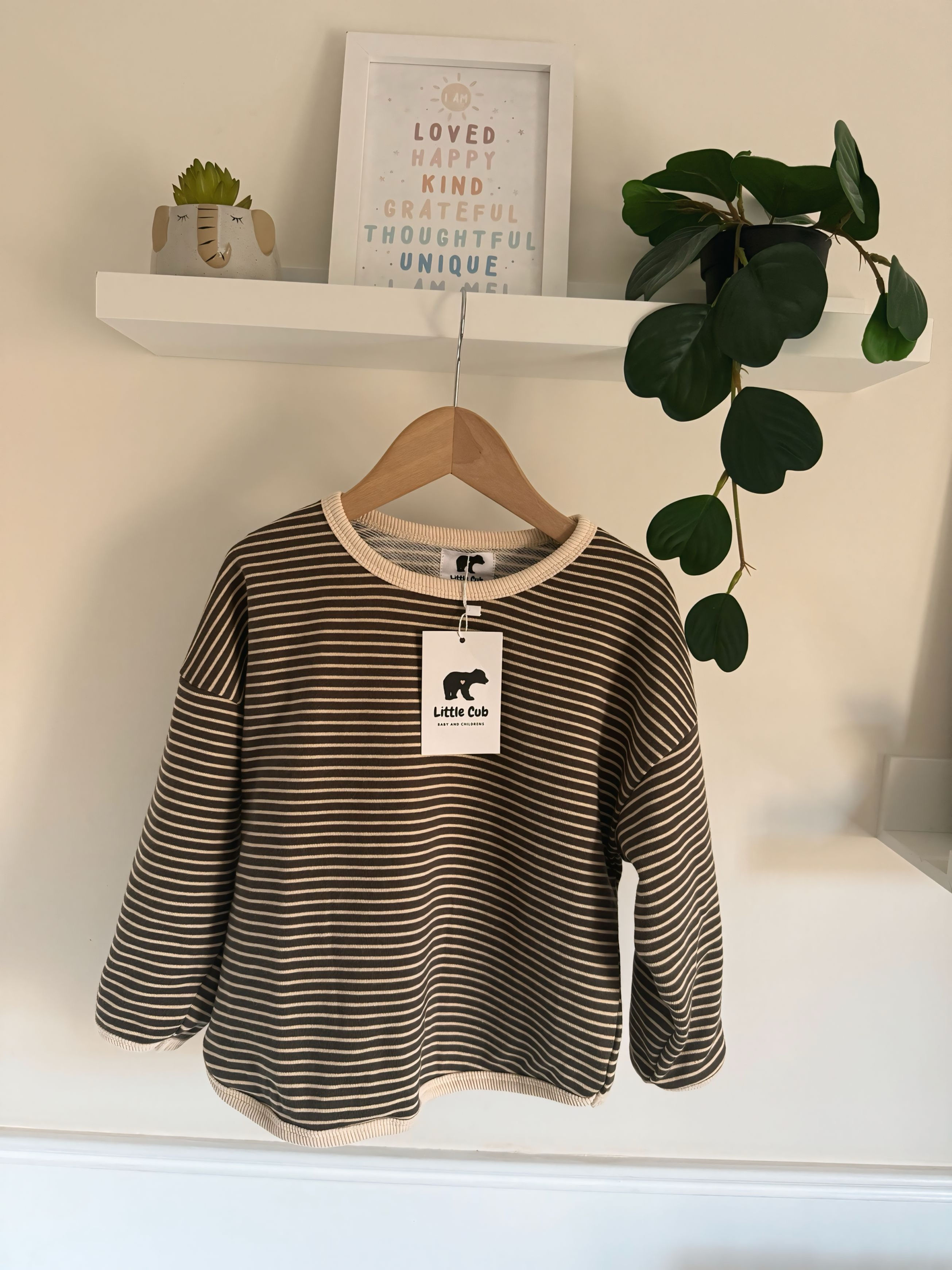 Brown Striped Long Sleeve T Shirt