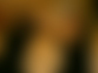 Refining a legacy: the distillation of Ging Mo Kune