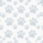 faded paw print background with grey and blues on white.jpg