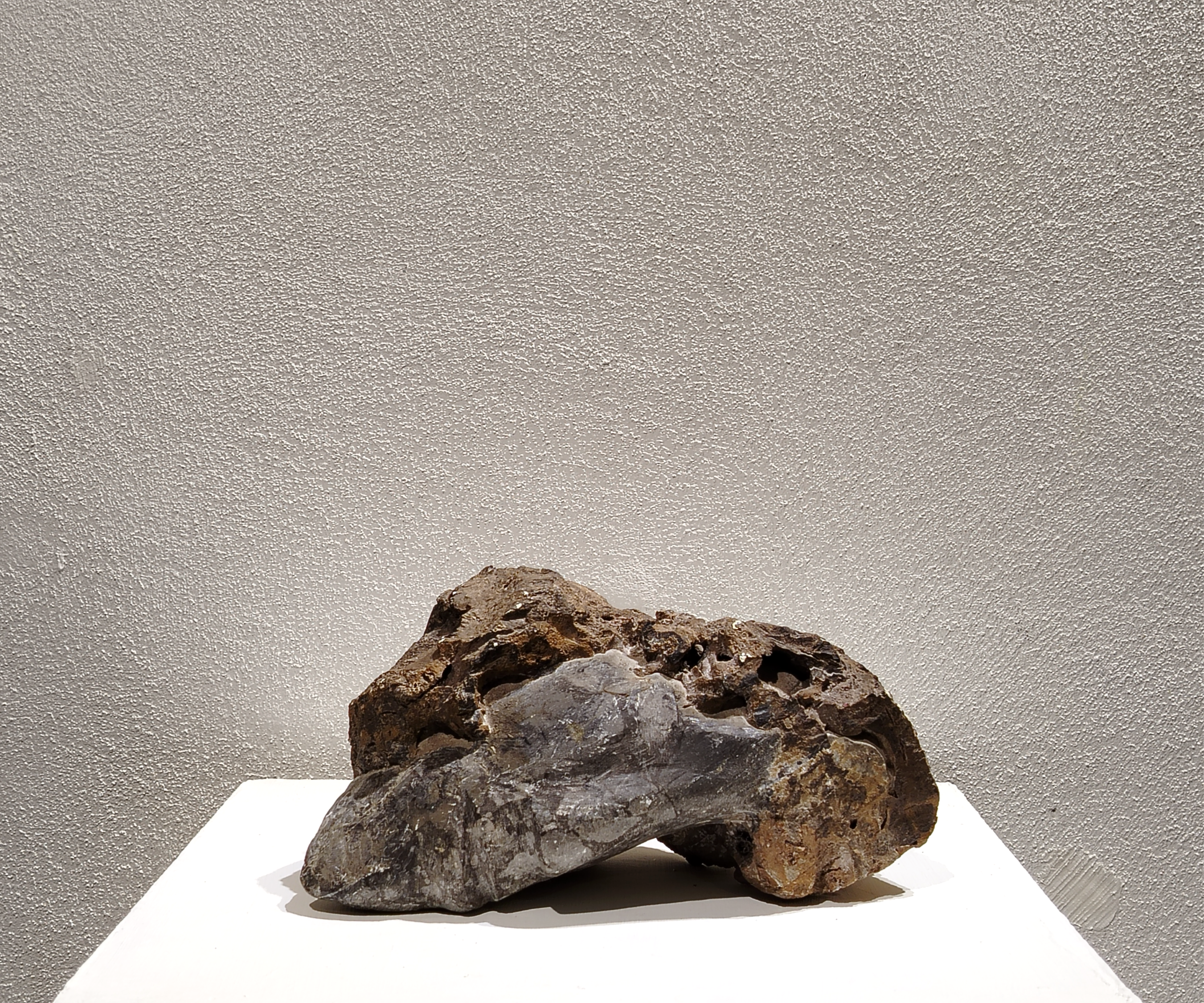 6 / Miguel Ángel Rosas