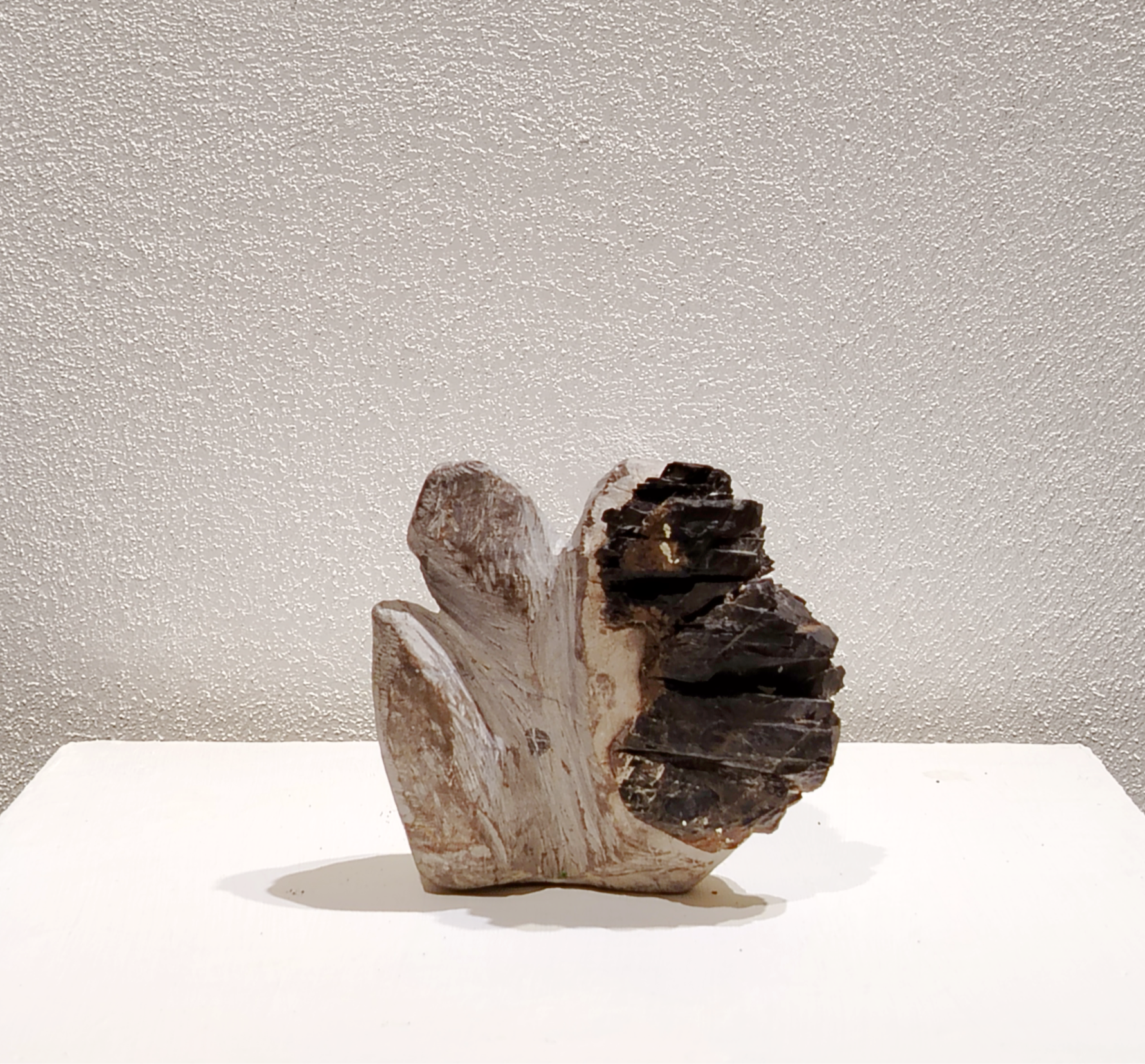 11 / Miguel Ángel Rosas