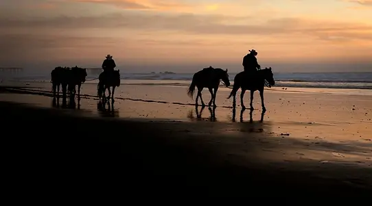 silhouette-two-cowboys-on-horseback-600nw-2599933087.webp