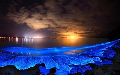 image-113.webp