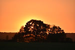The setting sun