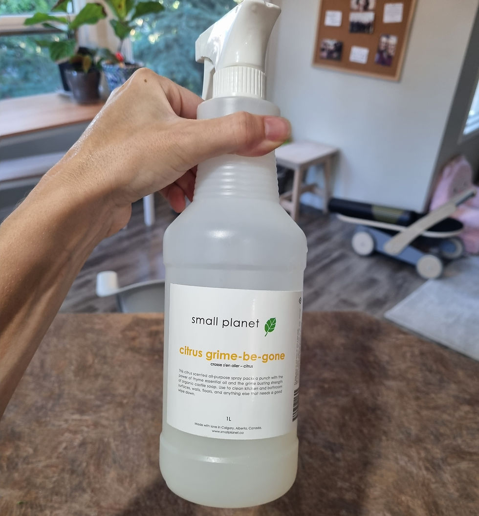 Hand holding a spray bottle labeled "citrus grime-be-gone" in a cozy room with wooden floors and plants. Calm, cleaning mood.