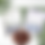 Thumbnail: Essential Oil Trio - Relaxation Collection