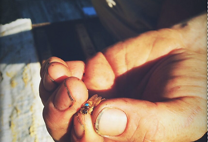 Screen Shot 2021-03-14 at 10.46.58 AM.png