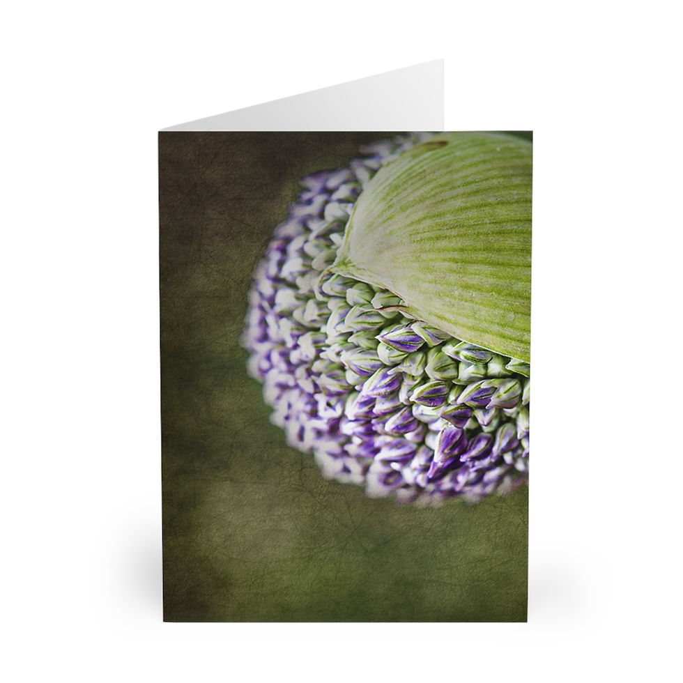 Thumbnail: CAG Online Greeting Cards - Budding Allium by Jessica Manelis