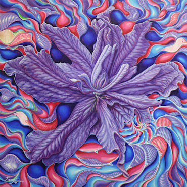 Lavender Interference Patterns