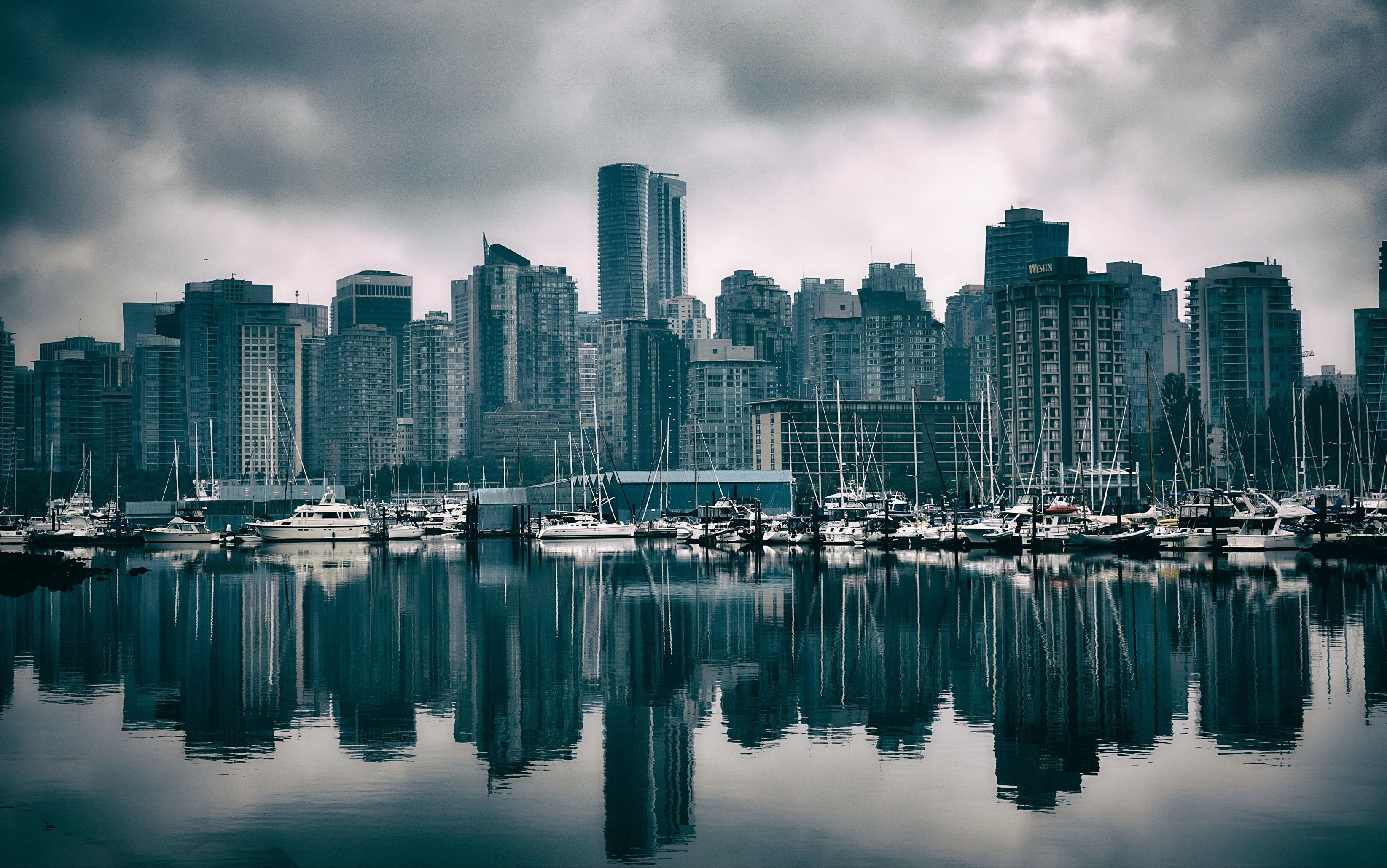 Calm Before the Storm