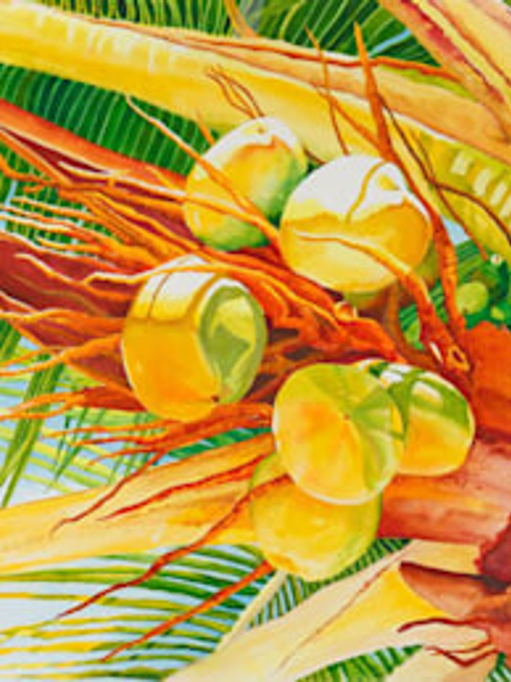 Under the Coconut Palm