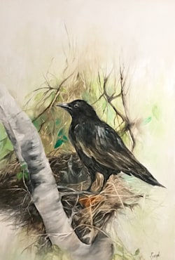 Nesting Crow