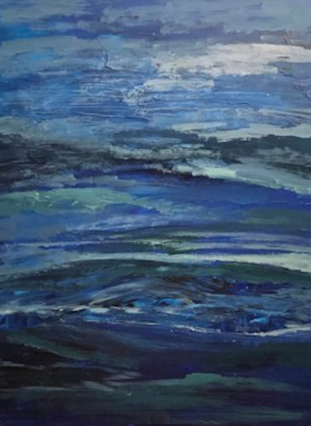 Through the Eyes of a Seabird