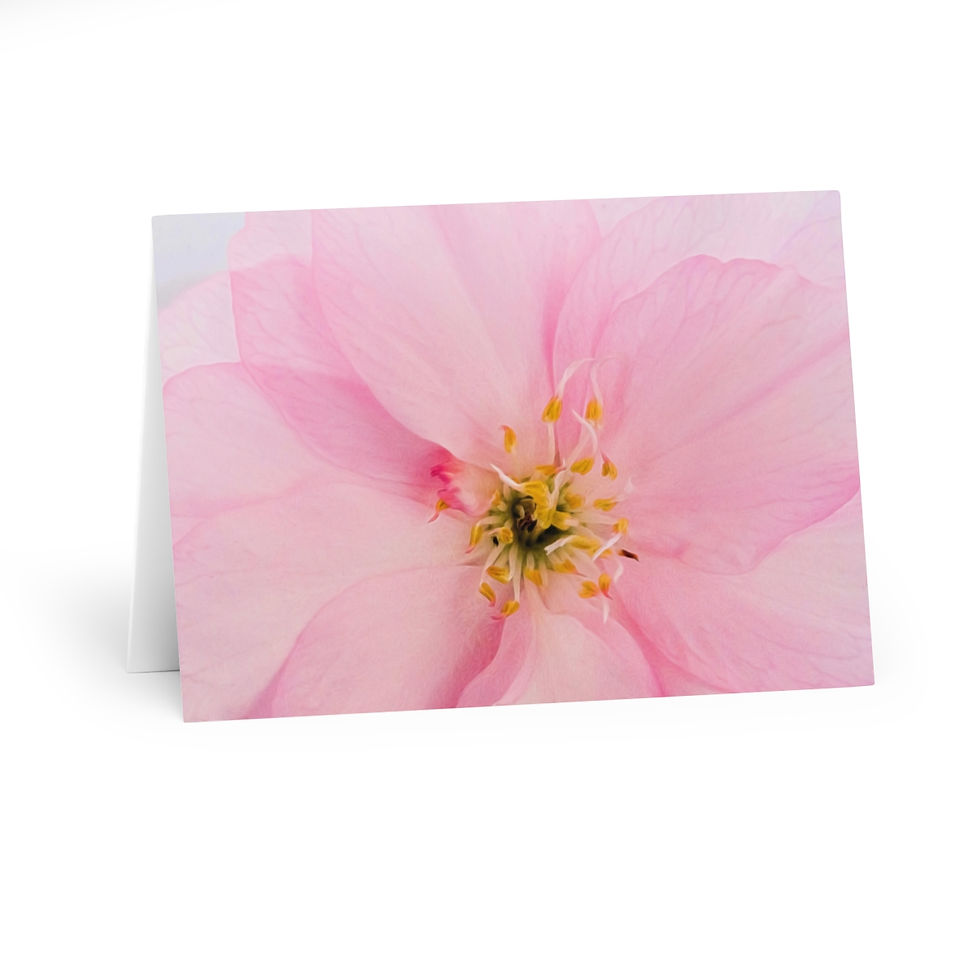 CAG Online Greeting Cards - Cherry Picked by Jessica Manelis