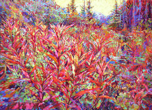 20326652-eye of the universe.jpg