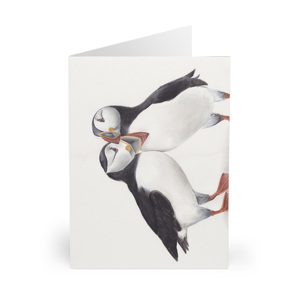 CAG Online Greeting Cards - Puffins by Viktoria Zhulego