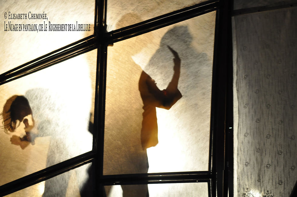 Ombres par transparence