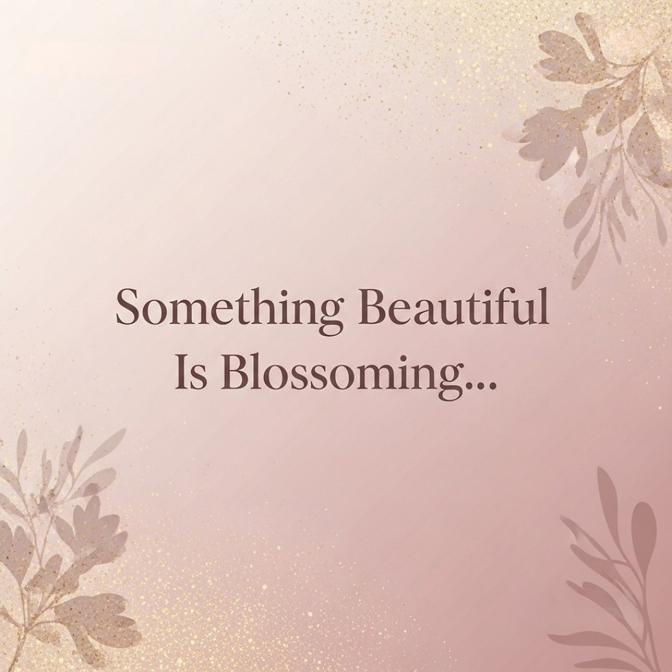 BBS WEBSITE SQUARE (1).png