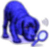 BB_mag_glass_edited_edited.png