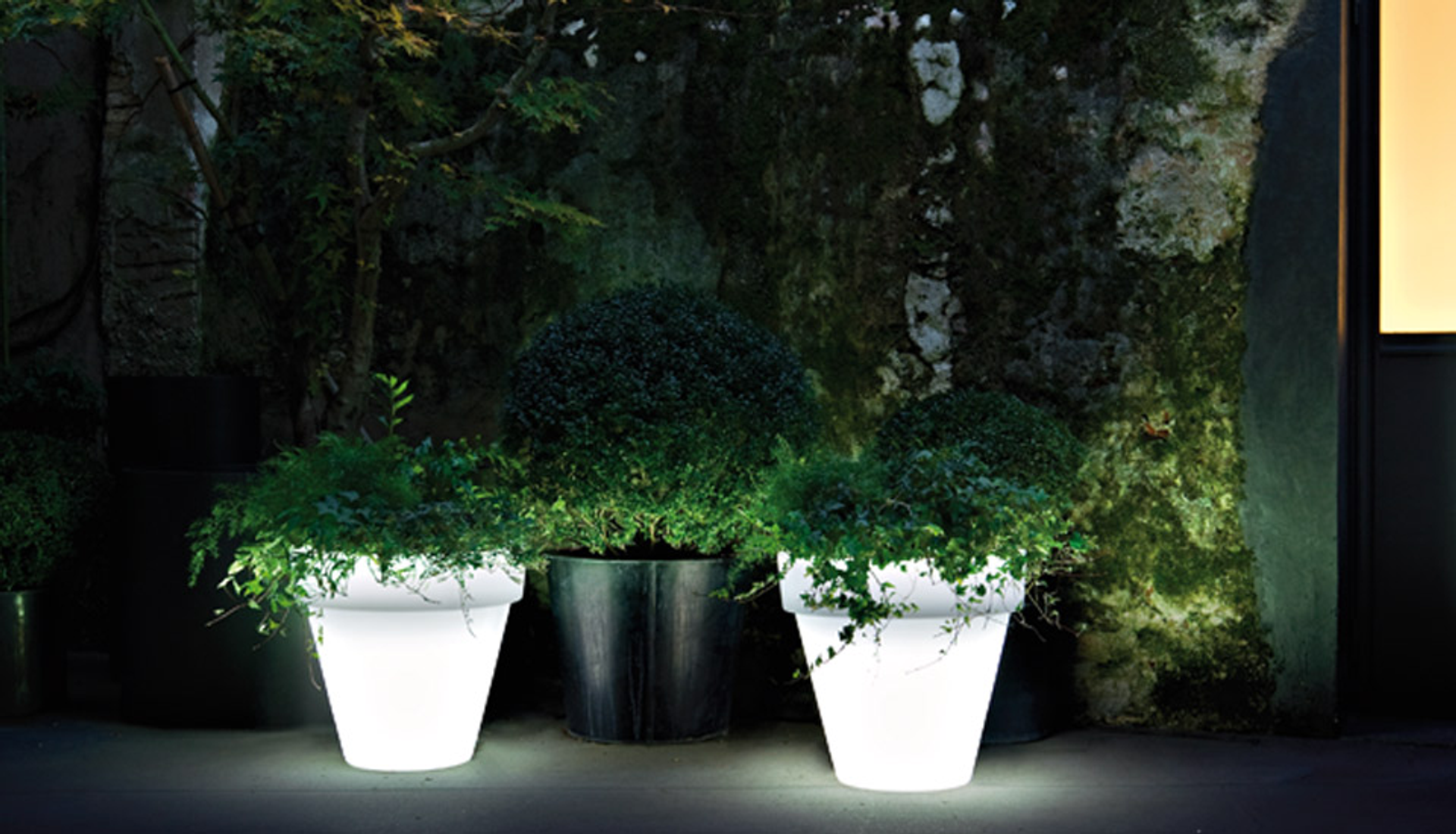 Illuminated Vases Vas One Family Big Bo Albertowebsite2019