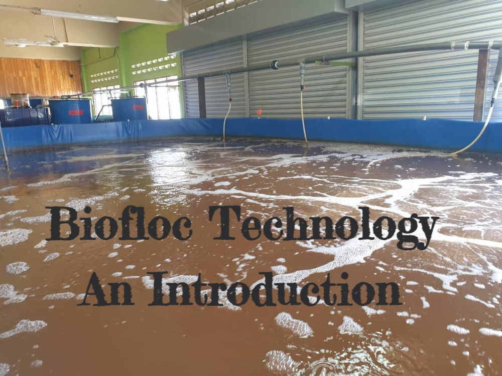 INTRODUCTION TO BIOFLOC SYSTEM