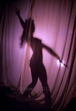 1453429_10152048292362900_505382326_n