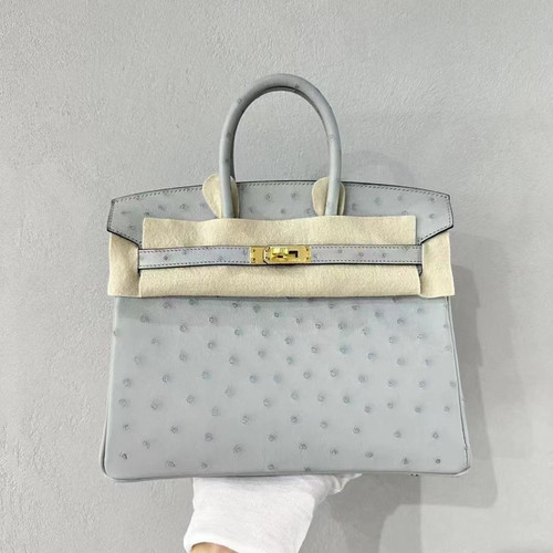 Hermès Birkin 25 | 8U Blue Glacier | GHW | Ostrich | B Stamp