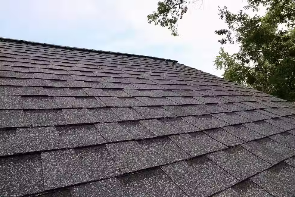 Shingle Roof