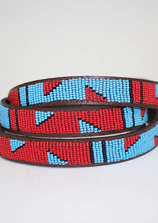 Red and Blue Leash