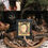 Thumbnail: Whole Calamus Root: (Altar Adornments) ~ Sabbats, rituals, offerings, witchery