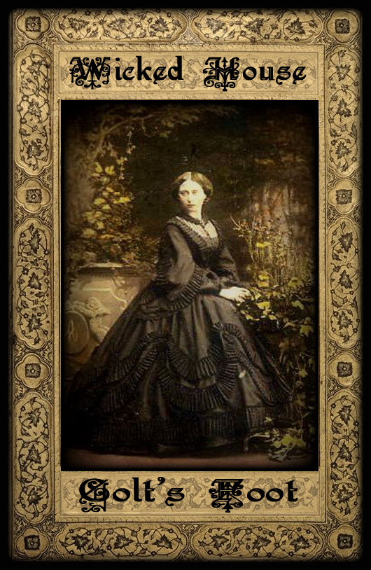 Thumbnail: The Herb Cupboard ~ Colt's Foot Leaf