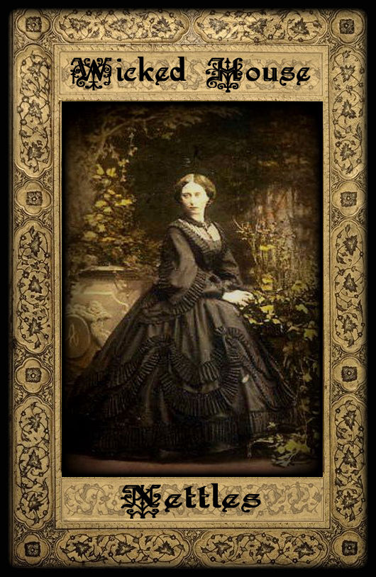 Thumbnail: The Herb Cupboard ~ Nettles Leaf