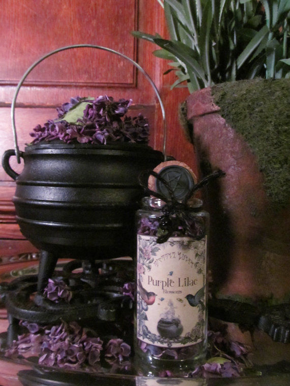 Thumbnail: The Flower Cupboard: CHOOSE YOUR OWN Flower Jar (While Supplies Last!)