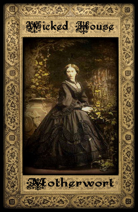 Thumbnail: The Herb Cupboard ~ Motherwort Leaf