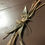 Thumbnail: Wisteria Altar Bundle: Altar Adornments ~ Sabbats, Altar, rituals, offerings
