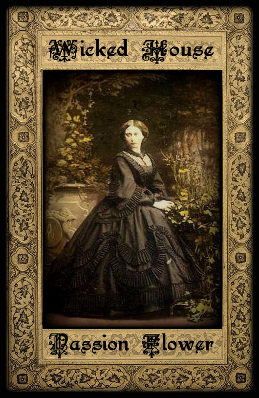 Thumbnail: The Herb Cupboard ~ Passion Flower Leaf