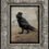 Thumbnail: Edgar Allan Poe (12 Tea Sacks): Organic, herbs, flowers, natural, tea,