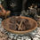 Thumbnail: Ram Horns: (Altar Adornments) ~ Sabbats, rituals, offerings, witchery, witch