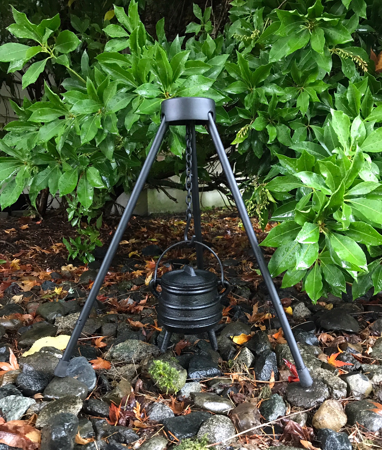 Forest witch Cauldron with Stand: spells, apothecary, altar, ritual, spellwork