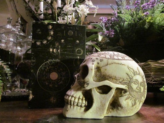 Thumbnail: ASTRAL/ASTROLOGY SKULL ~ Rituals, Altar, zodiac, apothecary, sacred, skeleton